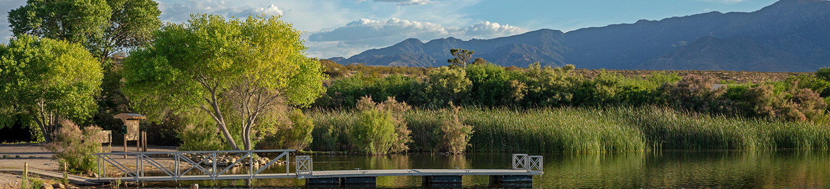 A metal fishing/boat dock extends into Roper Lake. Bright green vegetation and the foothills of Mt. Graham are seen in the distance.